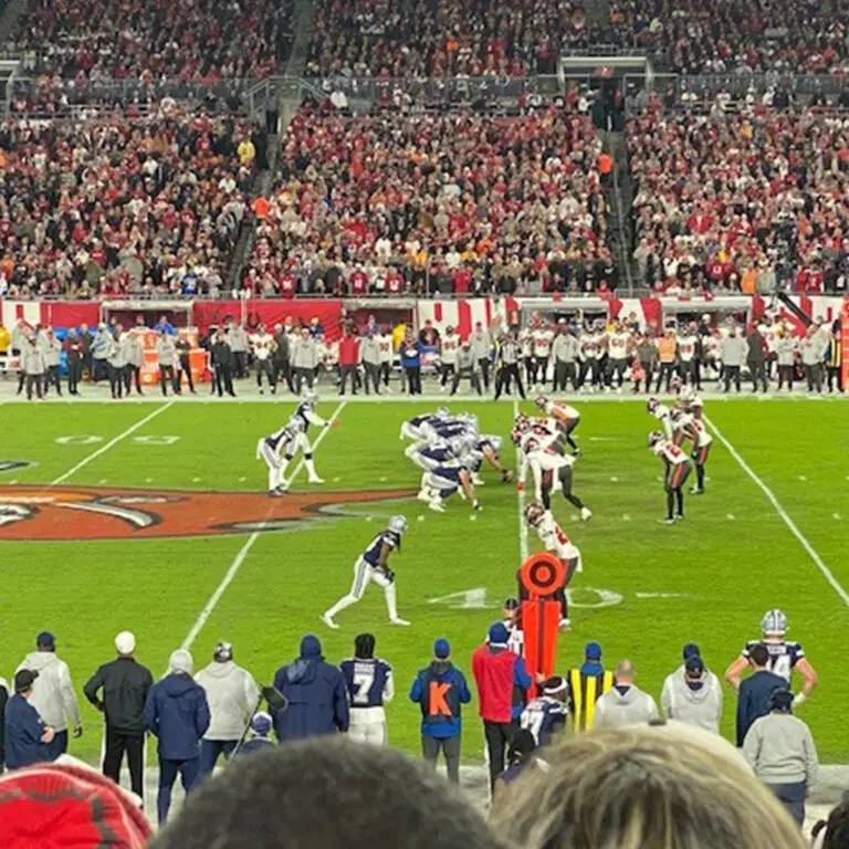 a football game with a crowd watching